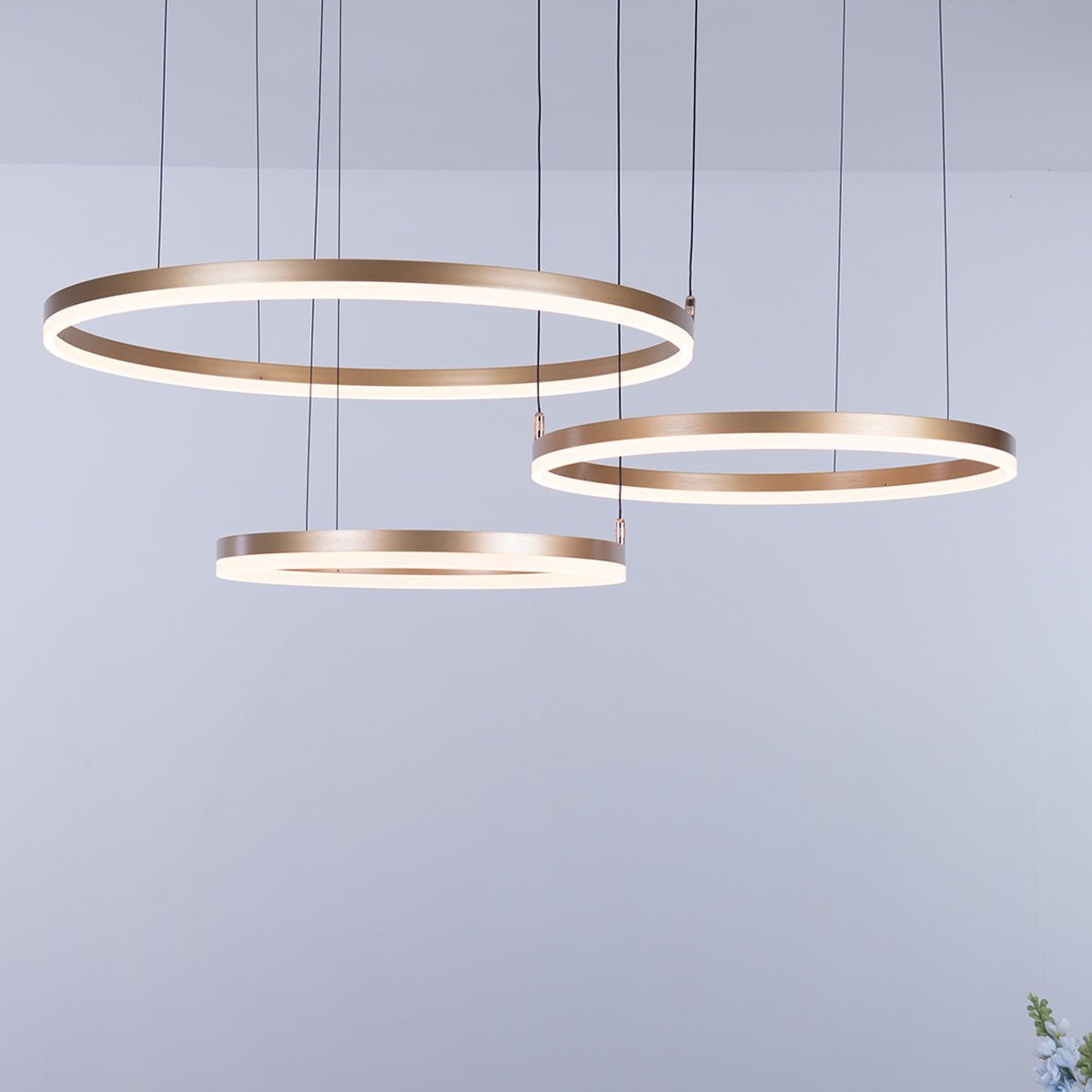 Nordic Rings Ceiling Light • Gold - Chandelier - Haus of Interiors