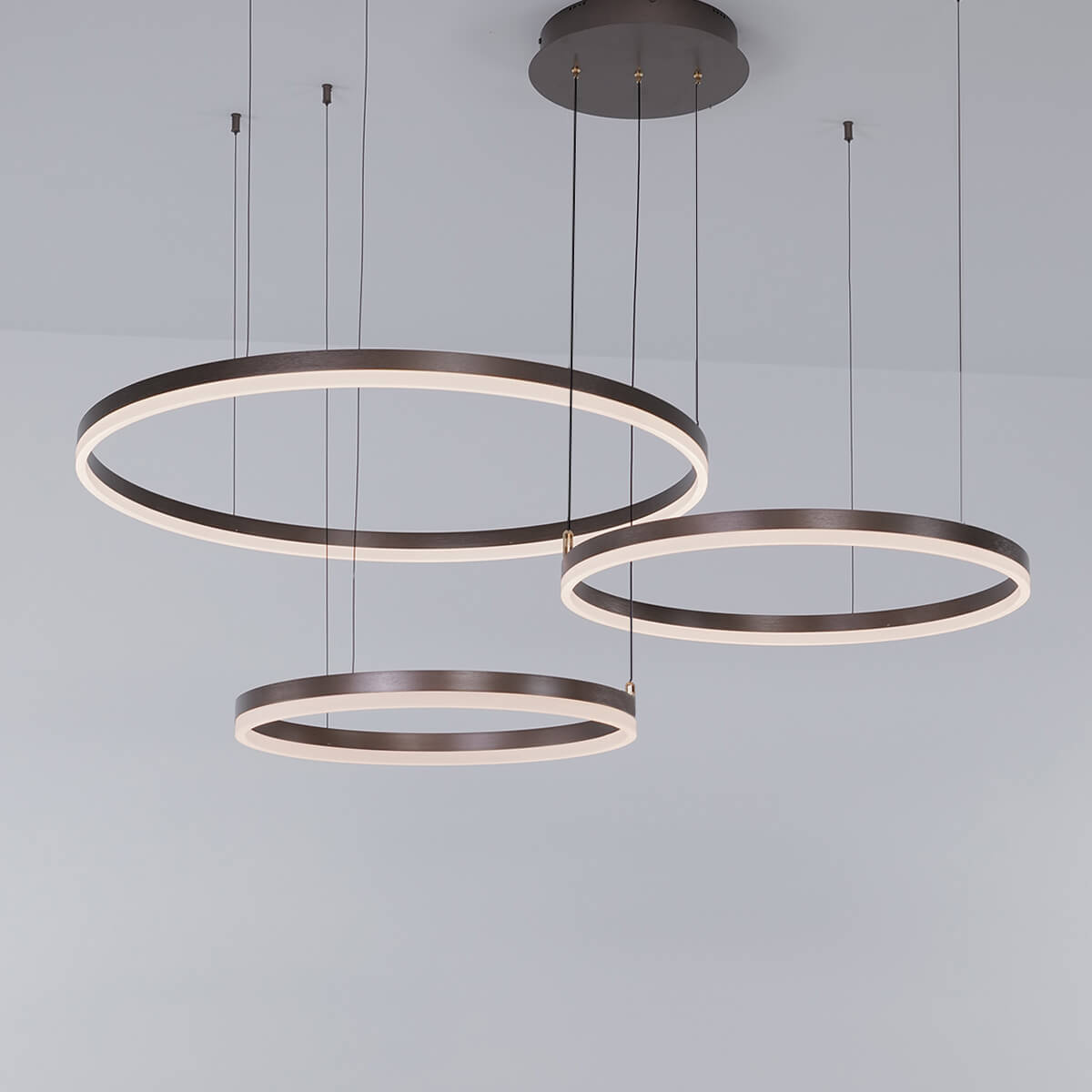 Nordic Rings Chandelier Ceiling Light Fixtures Haus of Interiors
