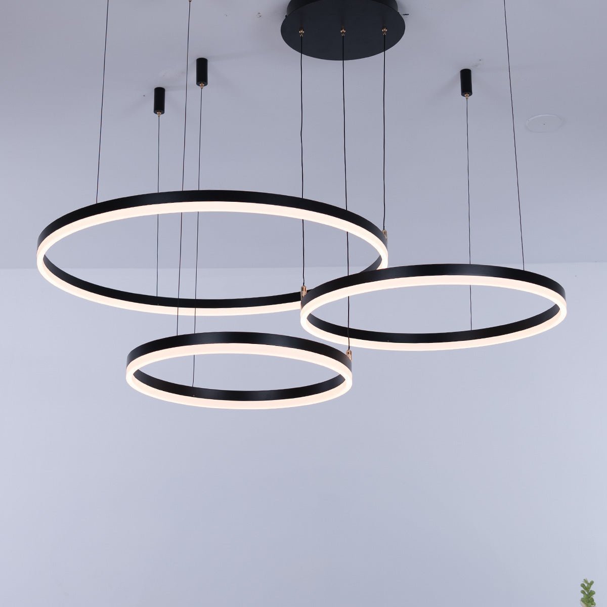 Nordic Ceiling • Black • 50CM + 60CM + 80CM + 100CM - Warehouse Sale - Chandelier - Haus of Interiors